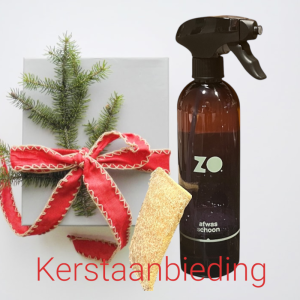 de-groene-schoonmaakwinkel-duurzaam-schoonmaken-zo-afwas-schoon-kerstaanbieding
